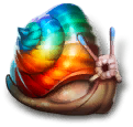 Rainbow Snail