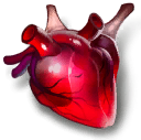 beating-heart