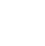 defender