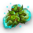 Scant nutty fragrance orchard