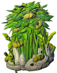 Overflowing weavers grove bush