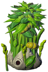 Scant weavers grove bush